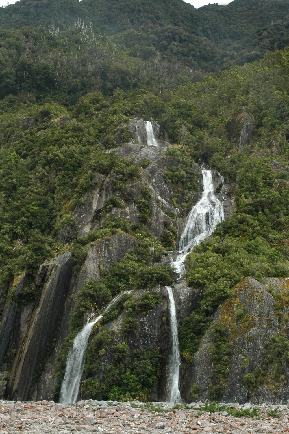 098   24 01   Greymouth   Fox Glacier